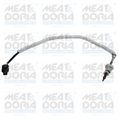 Sensor, exhaust gas temperature